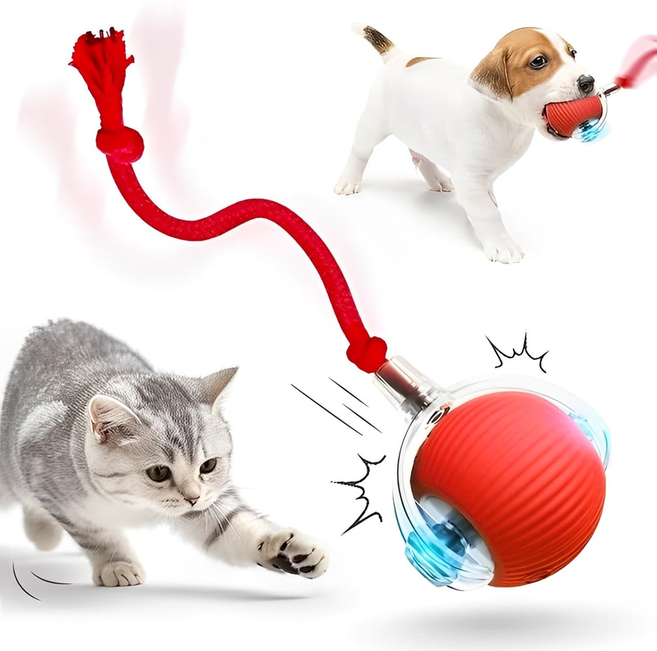 Bouncetug Play Ball – Interactive Pet Toy