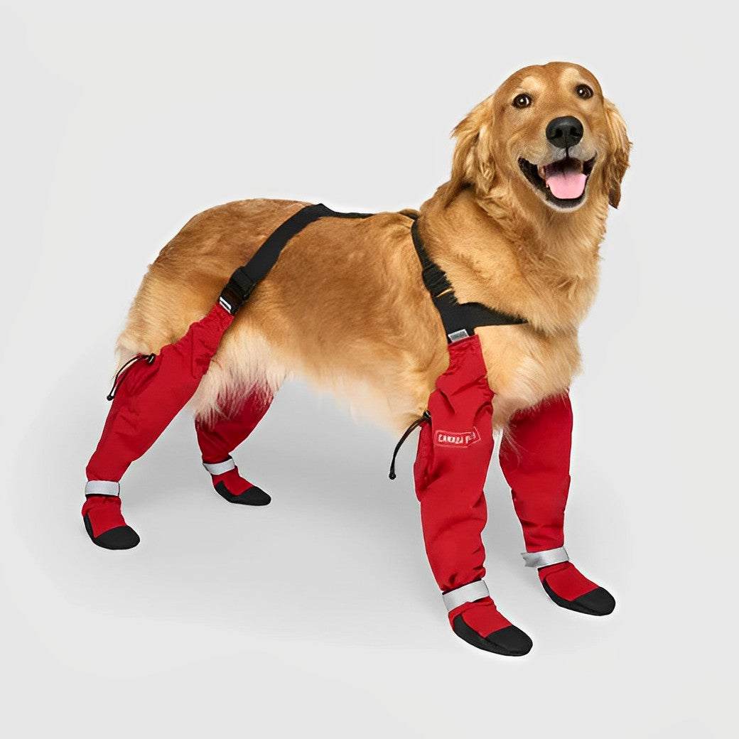 Waterproof Adjustable Dog Boots